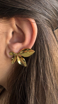 Ania | Boucles En Acier Inoxydable