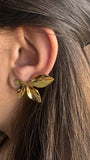Ania | Boucles En Acier Inoxydable